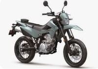 Kawasaki KLX 300 SM 2025 3608923030