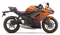 Kawasaki Ninja 650 ABS 2025 4239265561