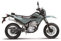 Kawasaki KLX 300SM 2025 5106610100