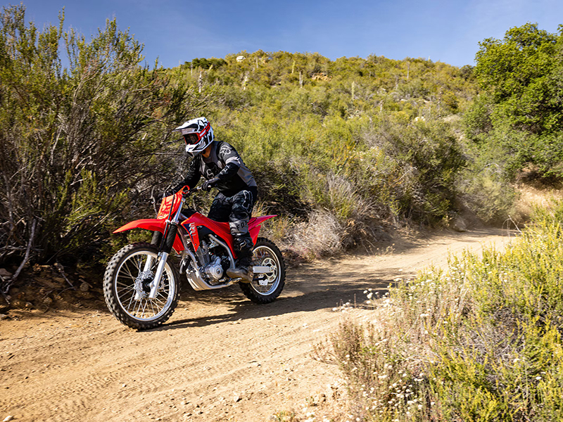 2025 CRF250F CRF250F O4214 - Click for larger photo